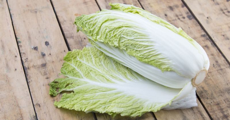 Manfaat dan Fungsi Sayur Sawi Putih Bagi Kesehatan Tubuh