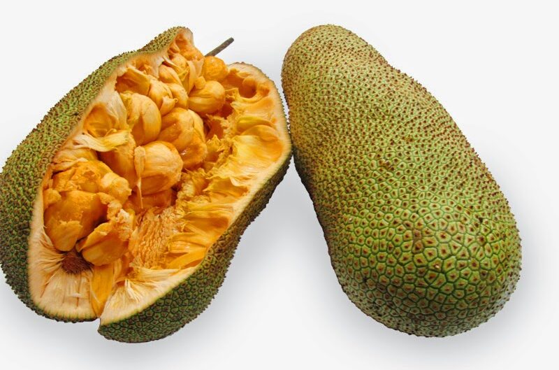 Mengenal Buah Cimpedek Yang Sekilas Mirip Dengan Buah Nangka